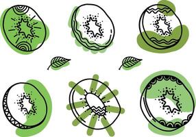 Kiwi fruit seamless pattern. Kiwi with leaf hand drawn repeated backdrop. Whole fruit and cut half. Food template for background, textile, wrapping paper, wallpaper. vector