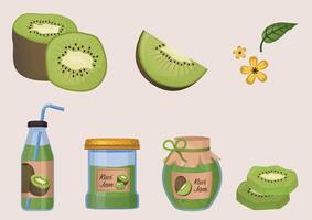 Kiwi harvests a large collection. Kiwi on branch, in basket, juice, jam, marmalade, pastila. Fruits vector