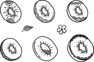 Kiwi hand drawn style with abstract lines ornaments set. Food eco template for menu, peach jam and juice label, tea banner, textile vector