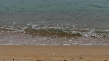 Tranquil summer beach scene with waves rolling onto sandy shore video