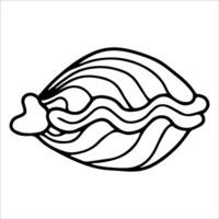 Illustration Shell line art coloring page vector