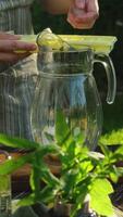 Vertical . Making homemade lemonade outdoors, refreshing summer citrus drink. Hands adding ice cubes to pitcher. video
