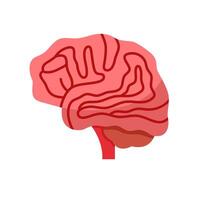 Flat Illustration Of Brain Human Organ vector