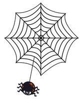 Spiderweb with spider isolated on white background. vector