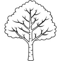, aspen tree image, illustration line art vector