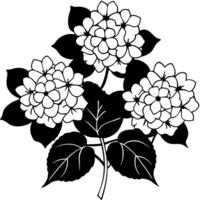 a black and white illustration of five hydrangea flowers and leaves bold and easy line 3 d, vector
