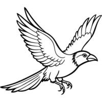 painted raven bird in flight isolated on a transparent background, illustration line art vector