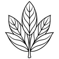 simple botanical leaf pattern, illustration line art vector