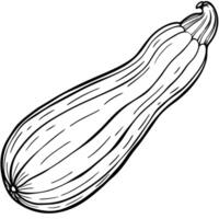 a simple zucchini with a slightly curved shape, illustration line art vector