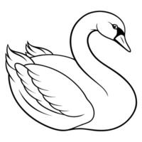 beautiful swan line art, illustration line art vector