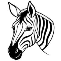 a zebra head with white background, illustration line art vector