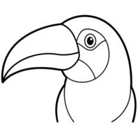 toucan head on a white background, illustration line art vector