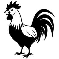 angry rooster black and white color silhouette in solid white background, vector