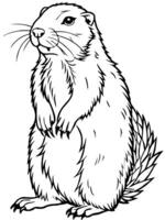 a prairie dog, illustration line art vector