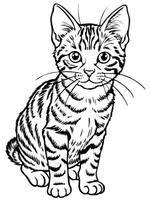 a tabby kitten, illustration line art vector