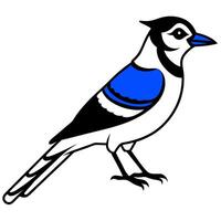 an image of blue jay silhouette with a white background, illustration line art vector