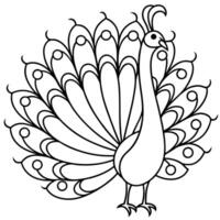 a proud peacock with its tail feathers fanned out in intricate, flowing line patterns, vector