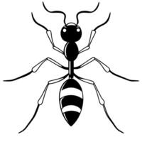 a image of a ant icon with a white background, illustration line art vector
