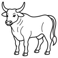 bull, illustration line art vector