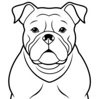 bulldog, illustration line art vector