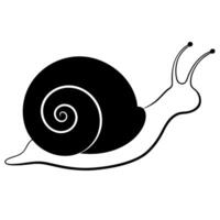 a simple snail silhouette with withe background, illustration line art vector