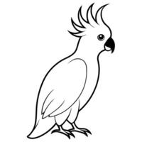an image of cockatoo silhouette with a white background, illustration line art vector