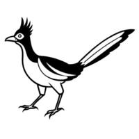 a picture of roadrunner illustration silhouette image icon, white background, vector