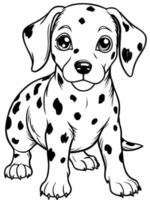 a dalmatian puppy, illustration line art vector