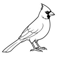 an image of cardinal silhouette with a white background, illustration line art vector
