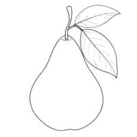 pear, illustration line art vector