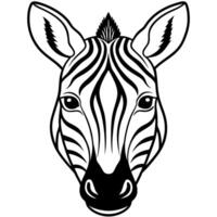 a zebra head with white background, illustration line art vector