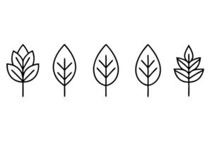 a illustration of a set of logotype icons with tree leaf silhouettes there are six icons, vector