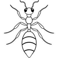 ant, illustration line art vector