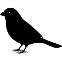 an image of canary silhouette with a white background, illustration line art vector