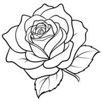 a high-quality, realistic line art of a single rose flower with detailed petals and leaves the vector