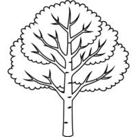 , aspen tree image, illustration line art vector