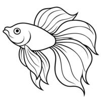 betta, fish, illustration line art vector