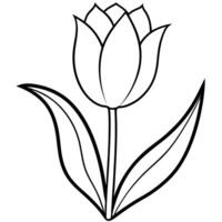pastel tulip design for backgrounds, illustration line art vector