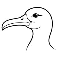 a albatross head with white background, illustration line art vector