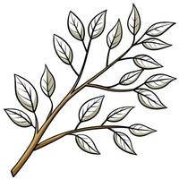 a thin tree branch with a few leafs, illustration line art vector
