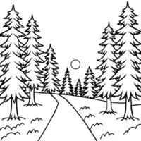 a path in a sunny coniferous forest tall trees and bushes in the foreground, illustration vector