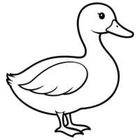 a duck, illustration line art vector