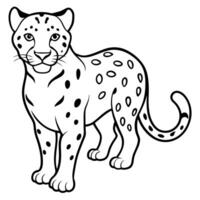 make a snow leopard art illustration design on a white background, illustration line vector