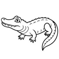 alligator animal image, illustration line art vector