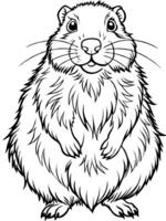 a groundhog, illustration line art vector