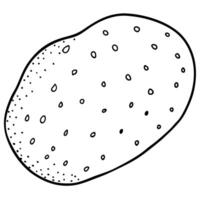 a simple potato with small dots for texture, illustration line art vector
