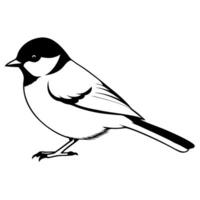 an image of chickadee silhouette with a white background, illustration line art vector