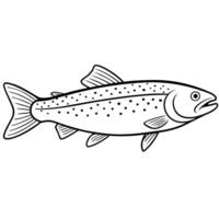 trout white background, illustration line art vector