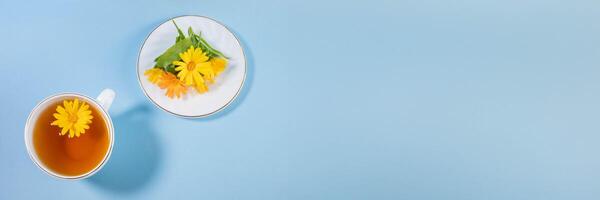White cup of calendula tea, fresh marigold flowers on saucer on blue. Banner. Top view. Copy space. photo