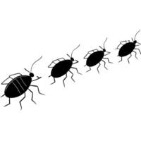 bedbug cimex lectularius group, walking on white background, illustration line art vector